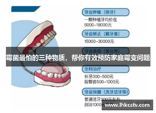 霉菌最怕的三种物质，帮你有效预防家庭霉变问题