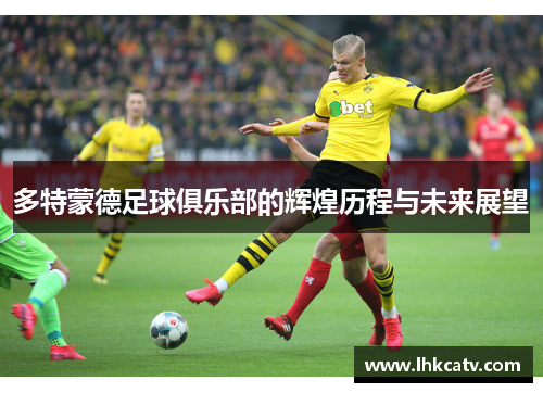 多特蒙德足球俱乐部的辉煌历程与未来展望